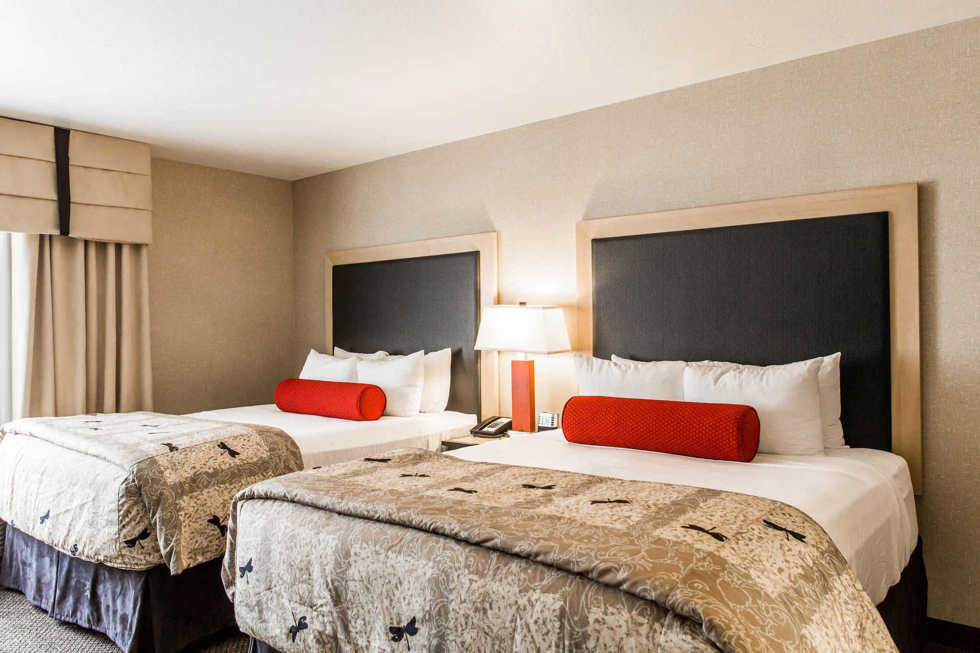 Springhill Suites By Marriott Roanoke Kamer foto