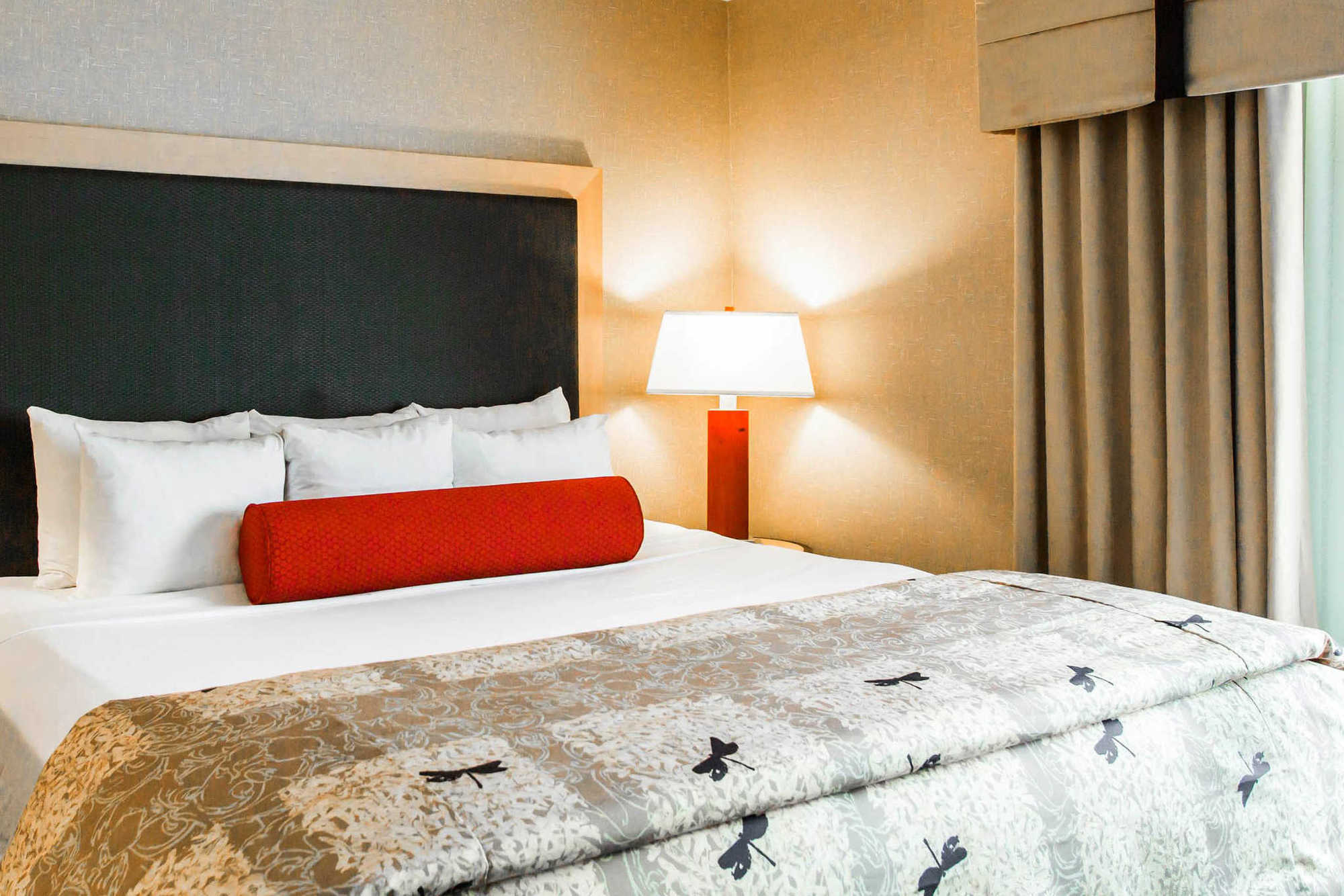 Springhill Suites By Marriott Roanoke Kamer foto