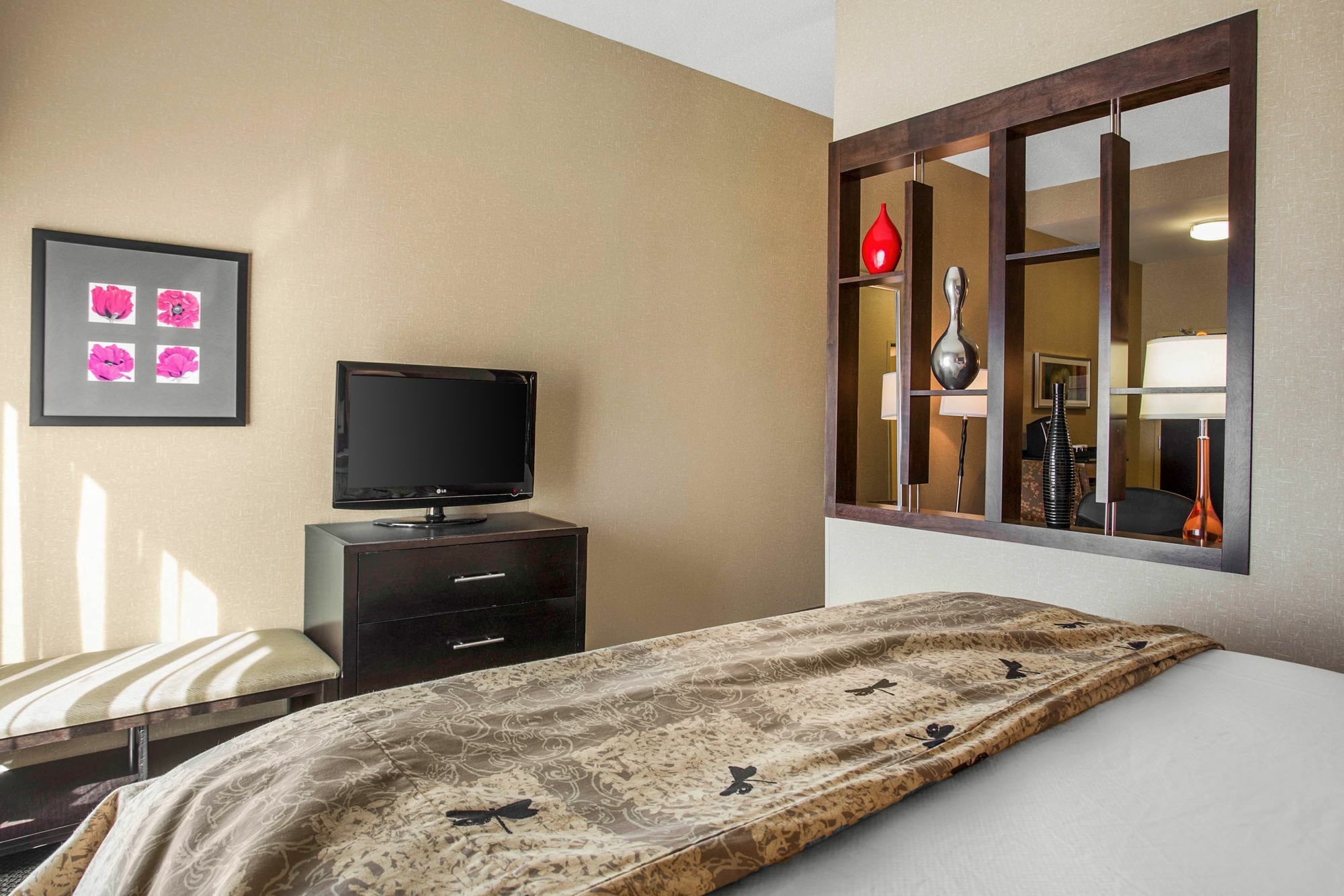 Springhill Suites By Marriott Roanoke Buitenkant foto