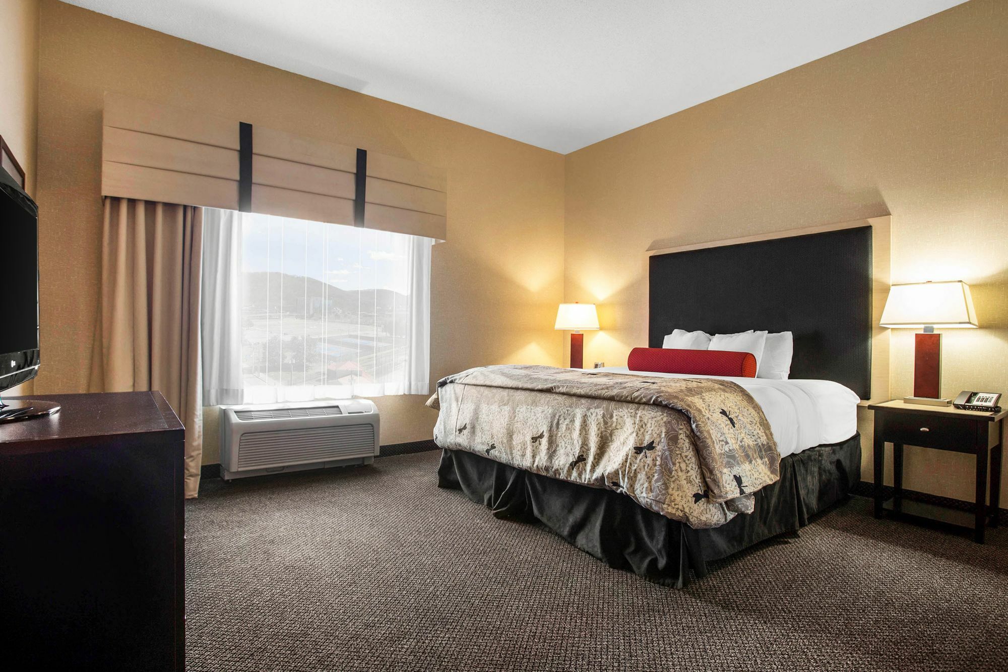 Springhill Suites By Marriott Roanoke Buitenkant foto