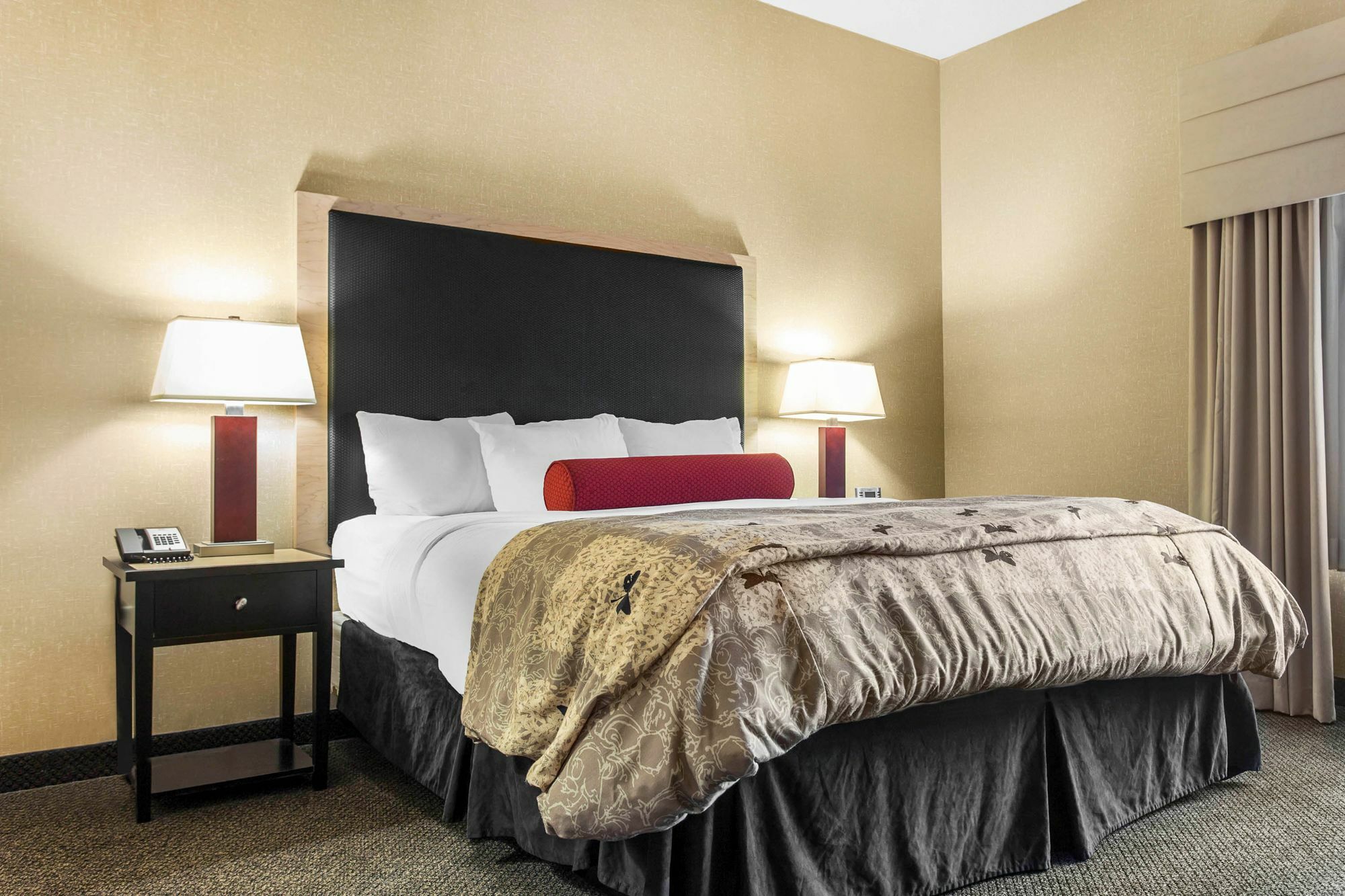 Springhill Suites By Marriott Roanoke Buitenkant foto