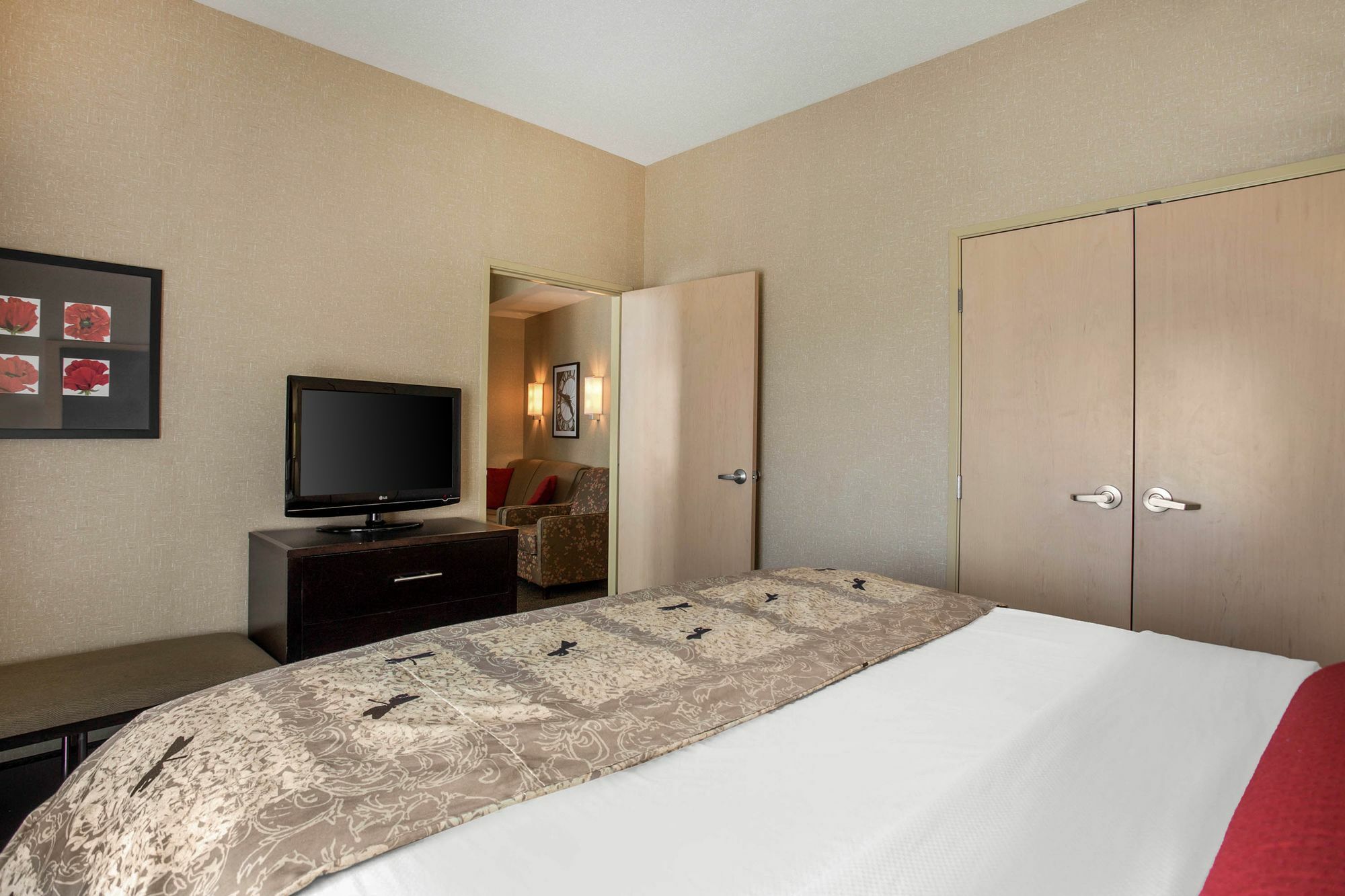 Springhill Suites By Marriott Roanoke Buitenkant foto