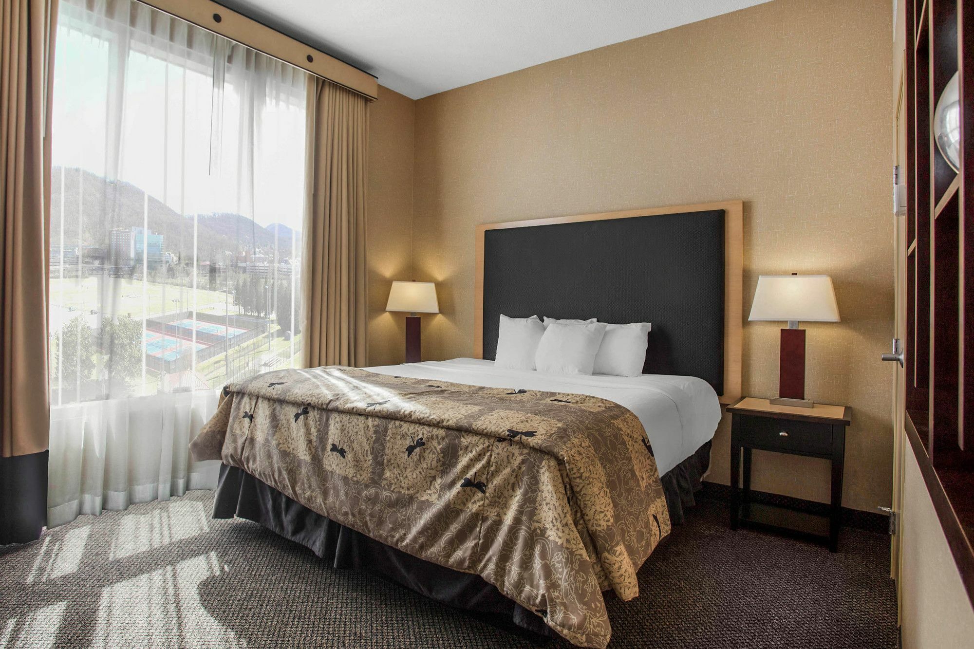 Springhill Suites By Marriott Roanoke Buitenkant foto