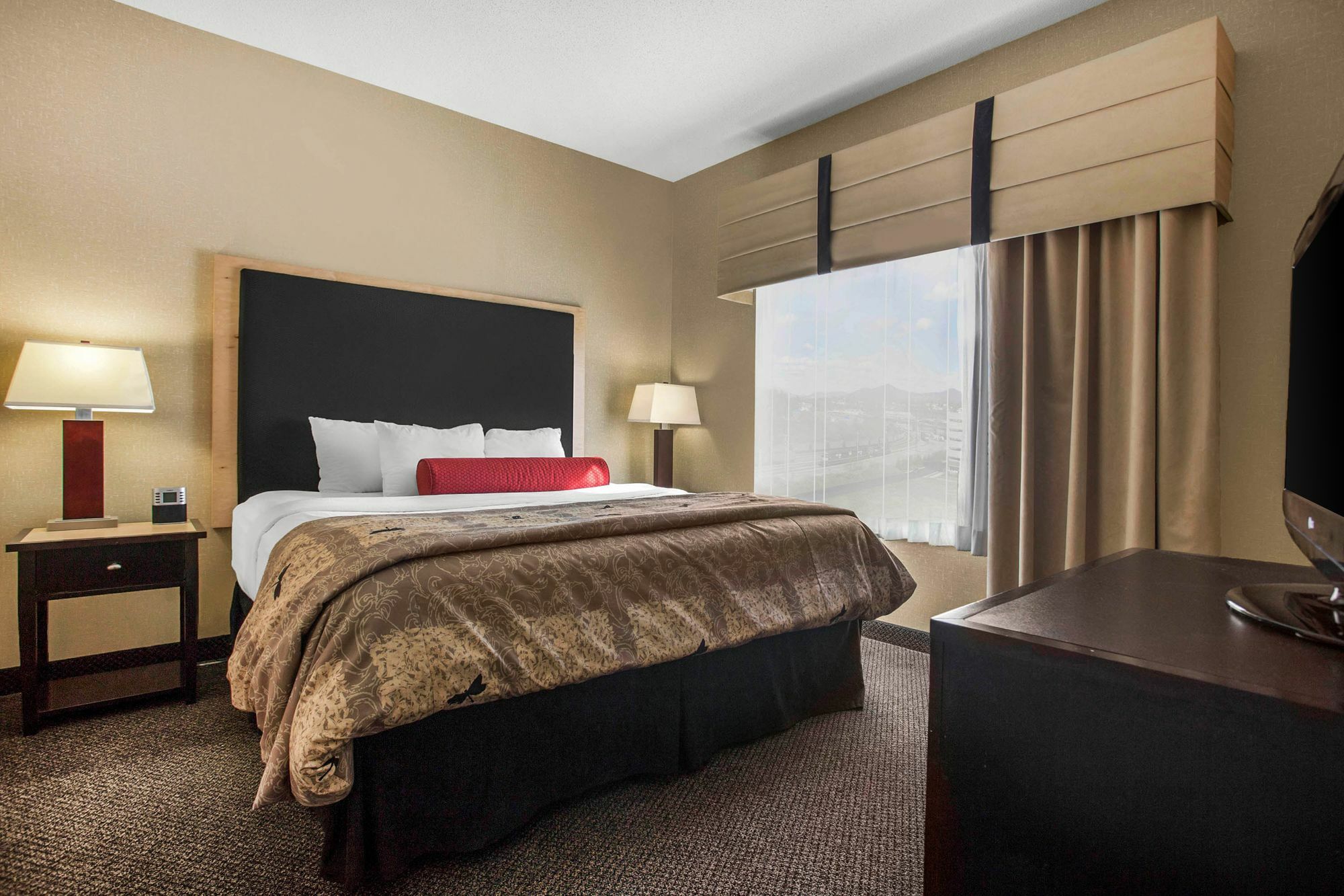Springhill Suites By Marriott Roanoke Buitenkant foto